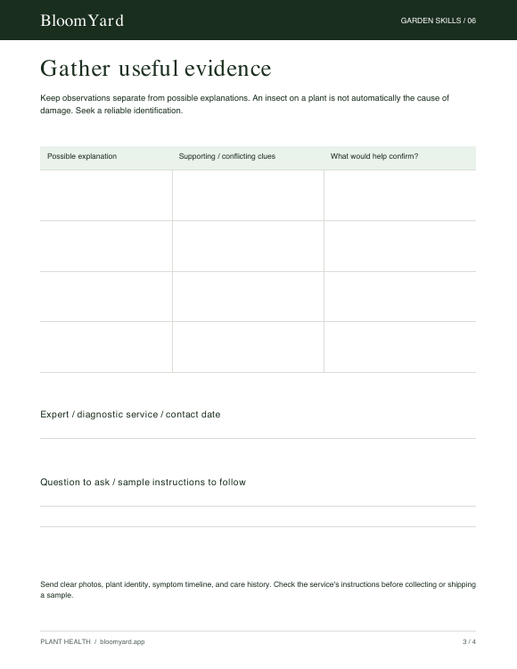Gather useful evidence worksheet
